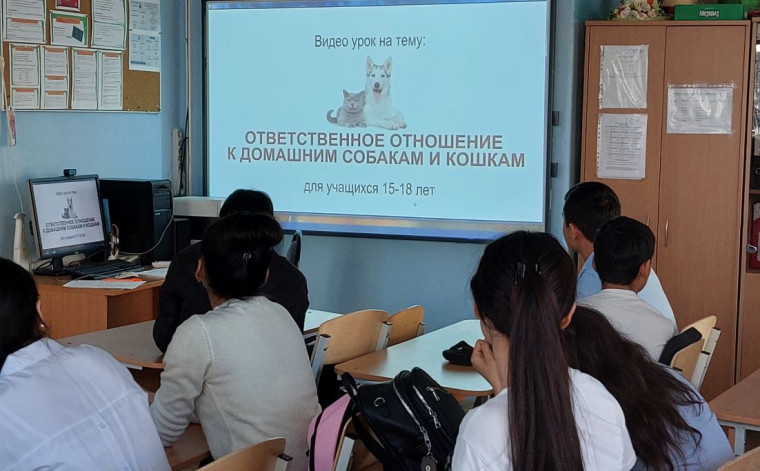 «Ответственное отношение к домашним собакам и кошкам»..